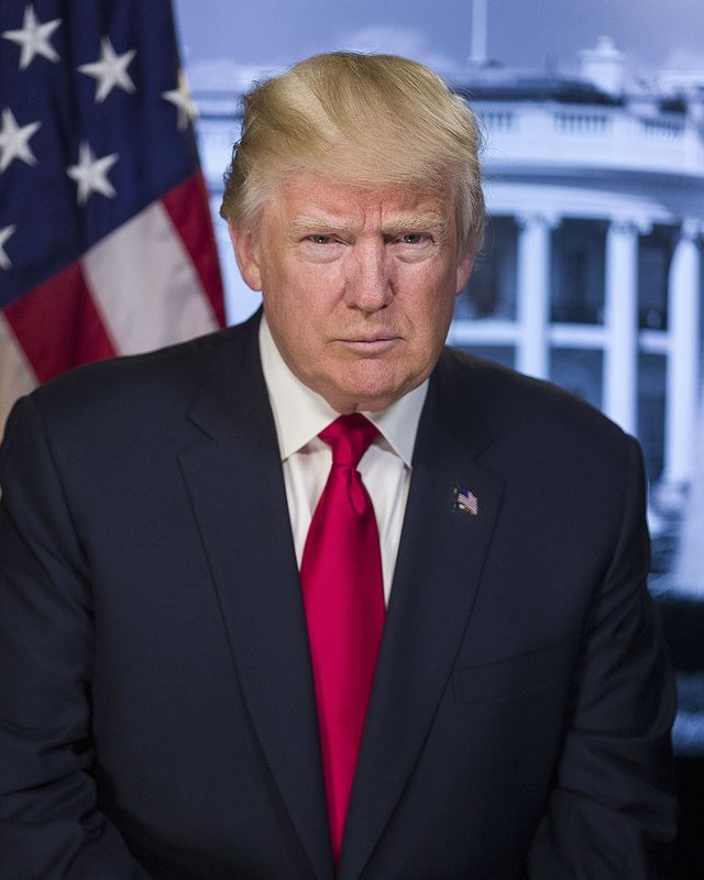 Donald J. Trump, POTUS No. 45
